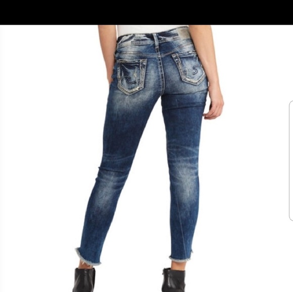 Silver Jean's Suki - Picture 3 of 8